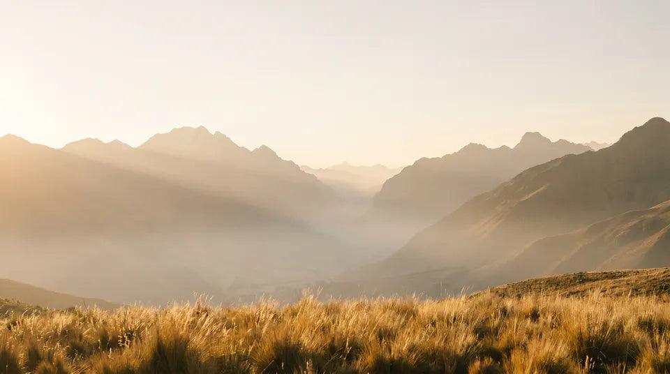 Primera luz del amanecer sobre el páramo